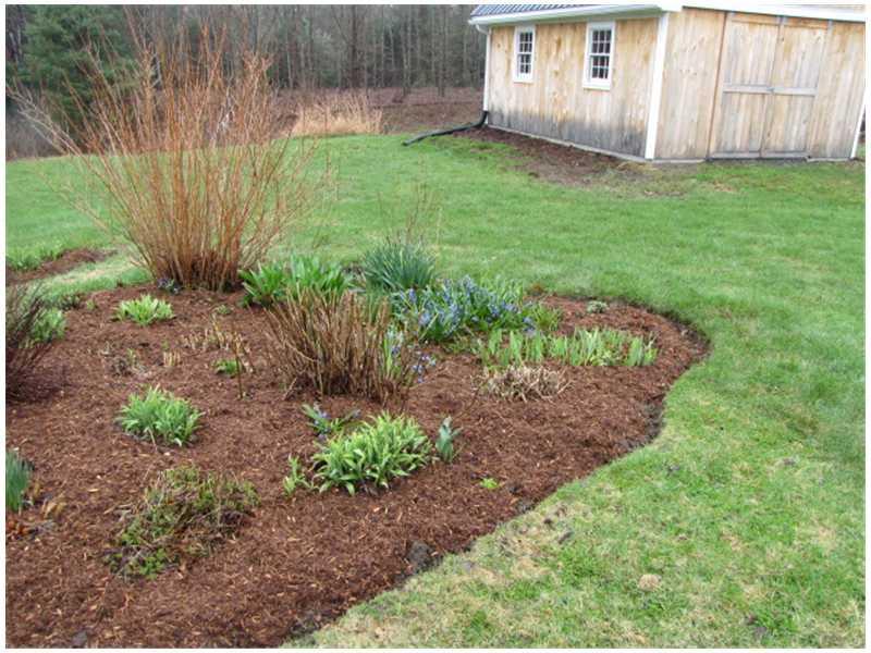 2616 West River Road Sidney, ME 04330 - Photo 17 of 20 Yard/Garden.