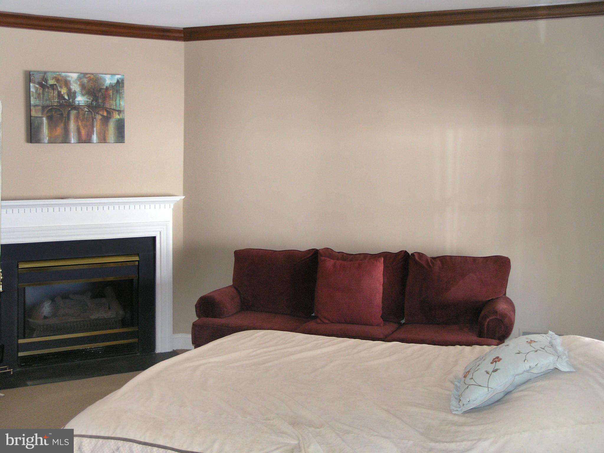1321 Sundial Drive Reston, VA 20194 - Photo 15 of 26 Lower Level Recreation Room with Fireplace