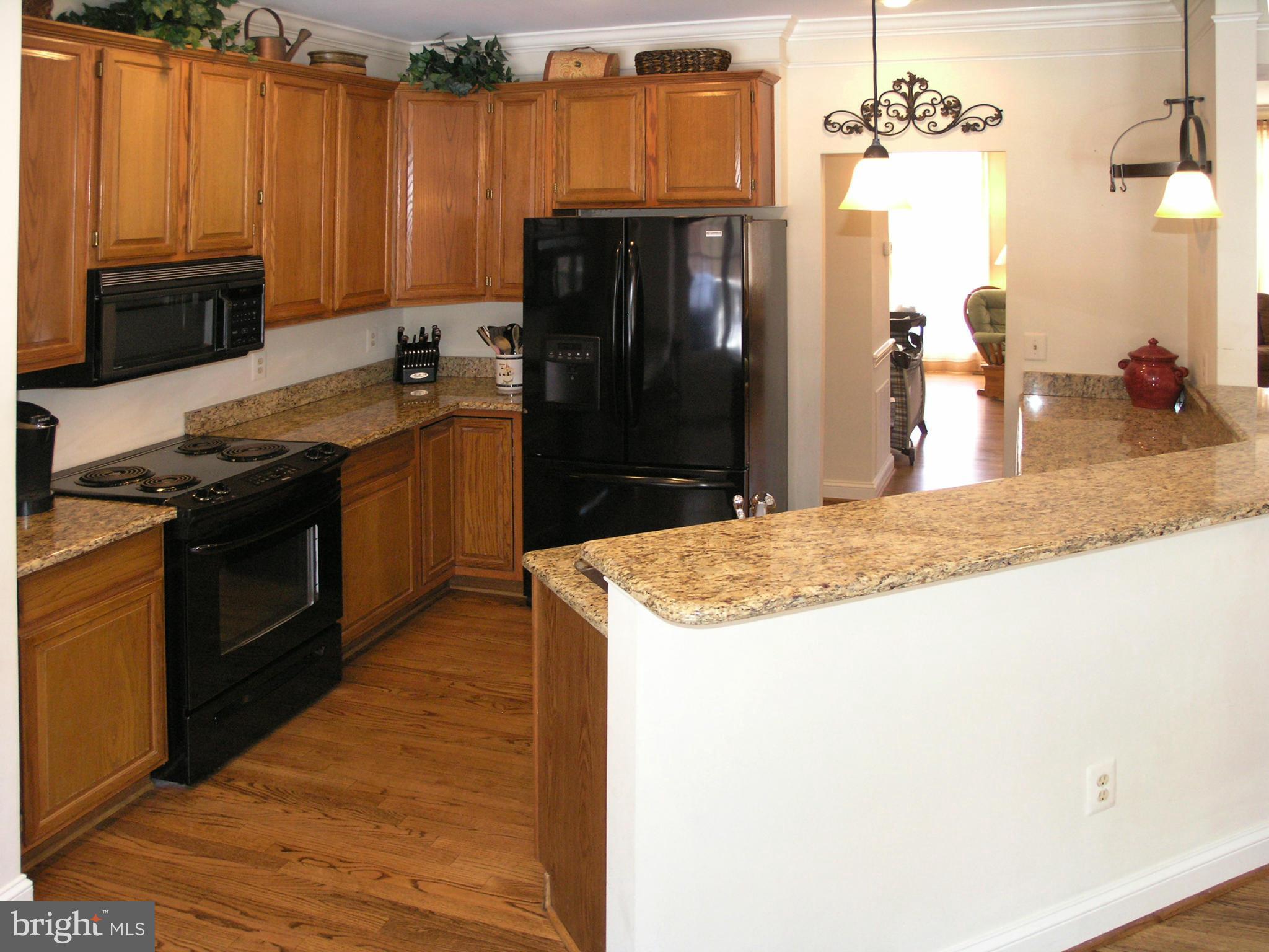 1321 Sundial Drive Reston, VA 20194 - Photo 4 of 26 Kitchen