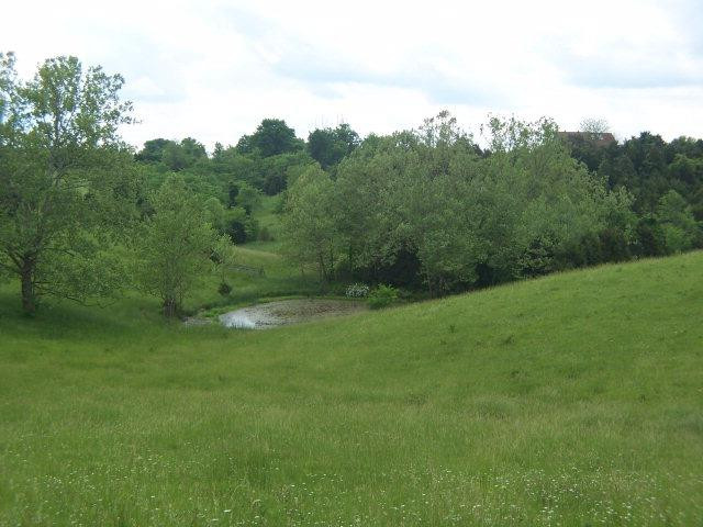 1773 Guynn Road Paint Lick, KY 40461 - Photo 5 of 7 Photo 5