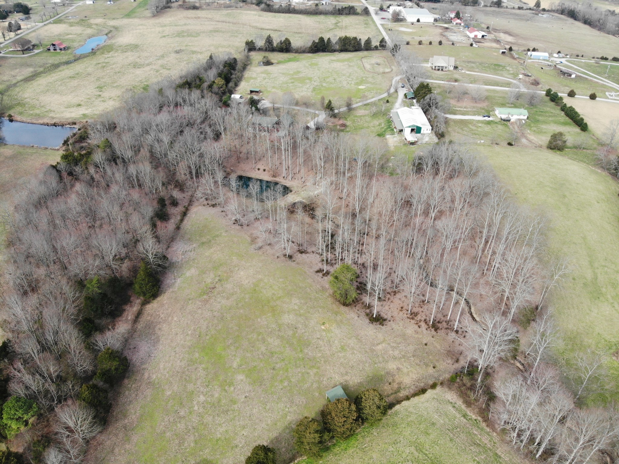 251 Barnes Road Cookeville, TN 38506 - Photo 6 of 14 Gallery Image 6