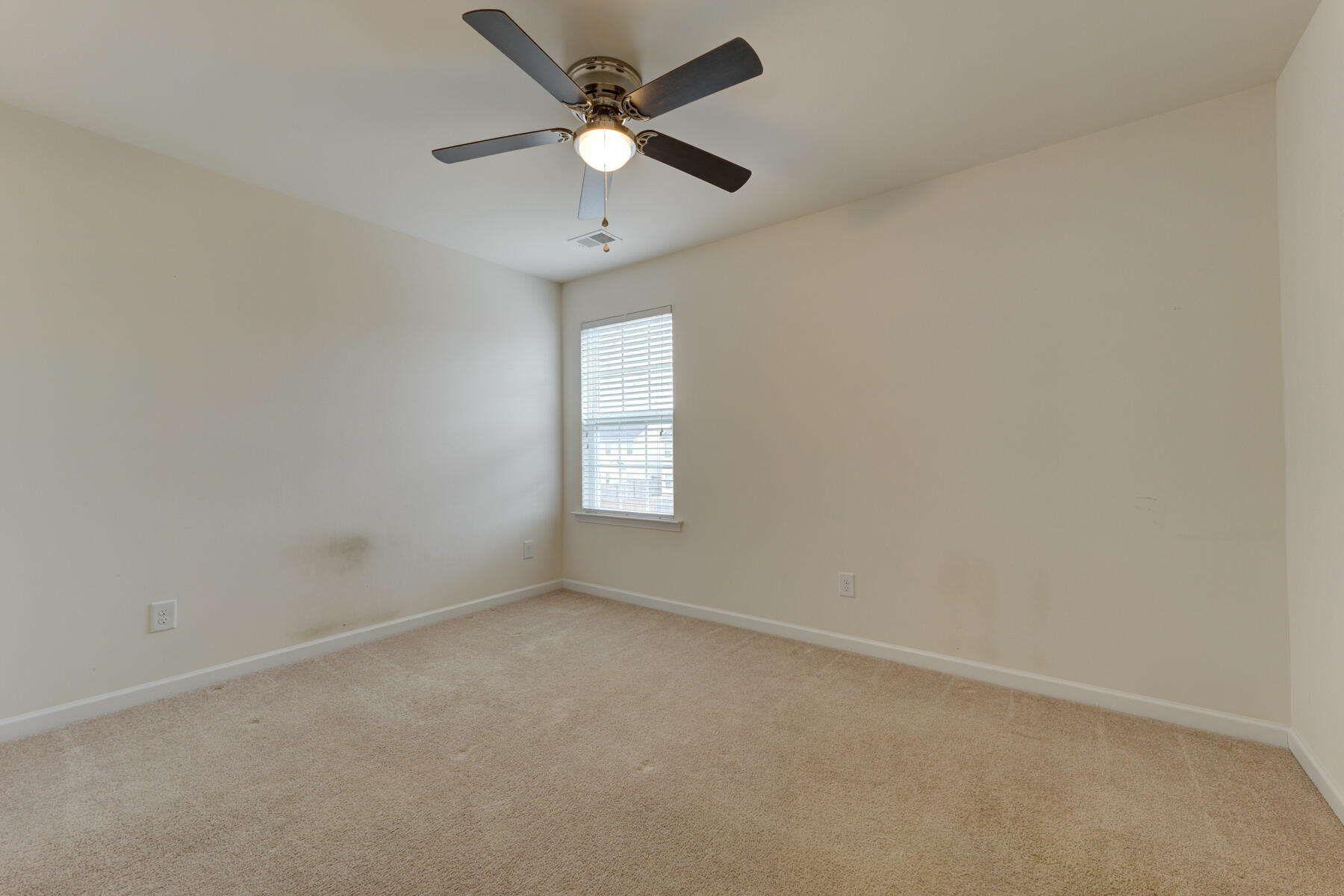316 Beautyberry Road Summerville, SC 29486 - Photo 38 of 42 316 Beautyberry Rd, Summerville SC (33)