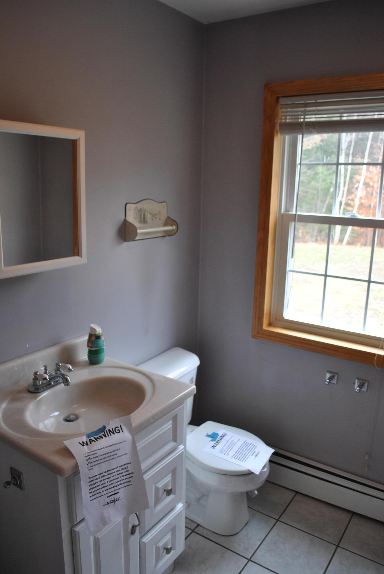 399 13th Street Acton, ME 04001 - Photo 11 of 33 DSC_0017
