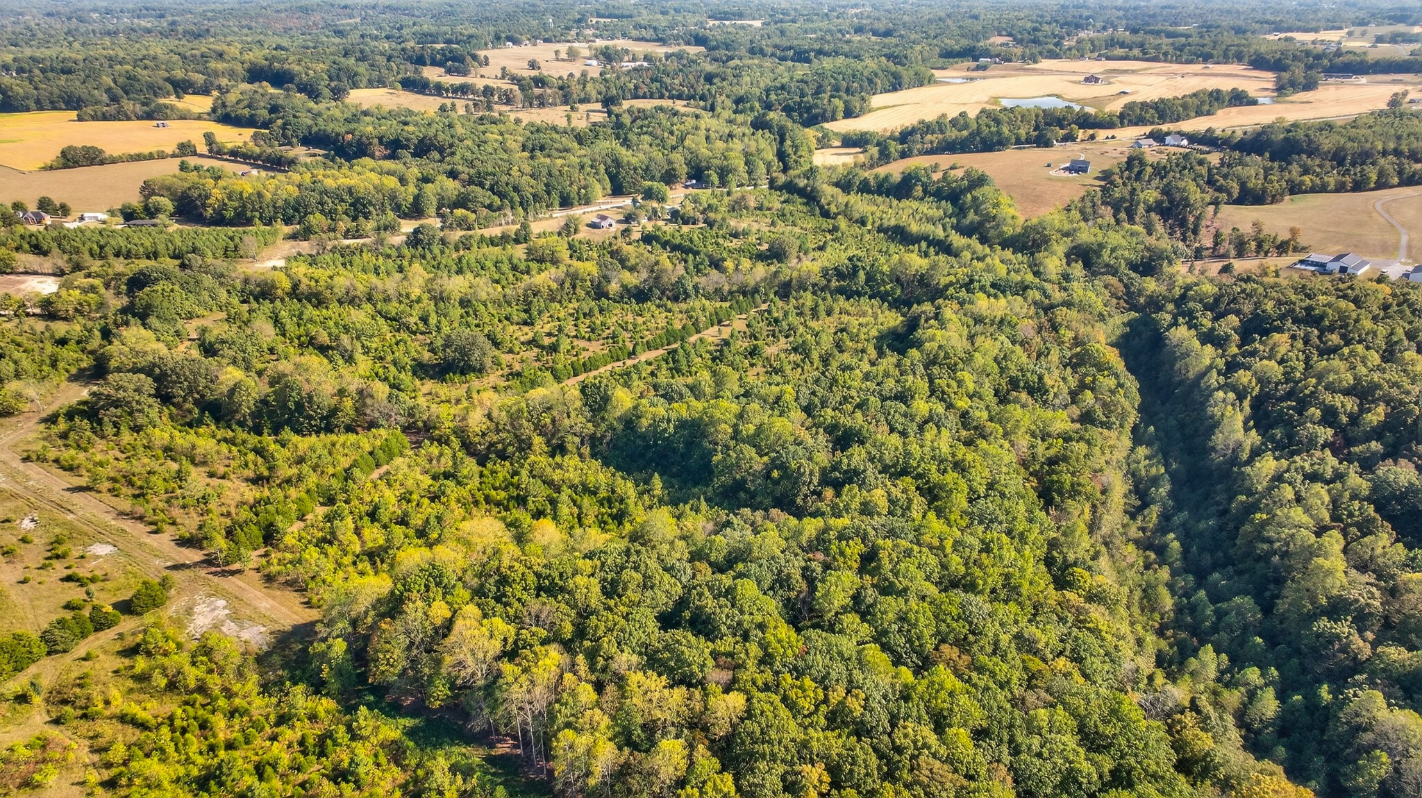 0 Fairfield Road Bethpage, TN 37022 - Photo 11 of 11