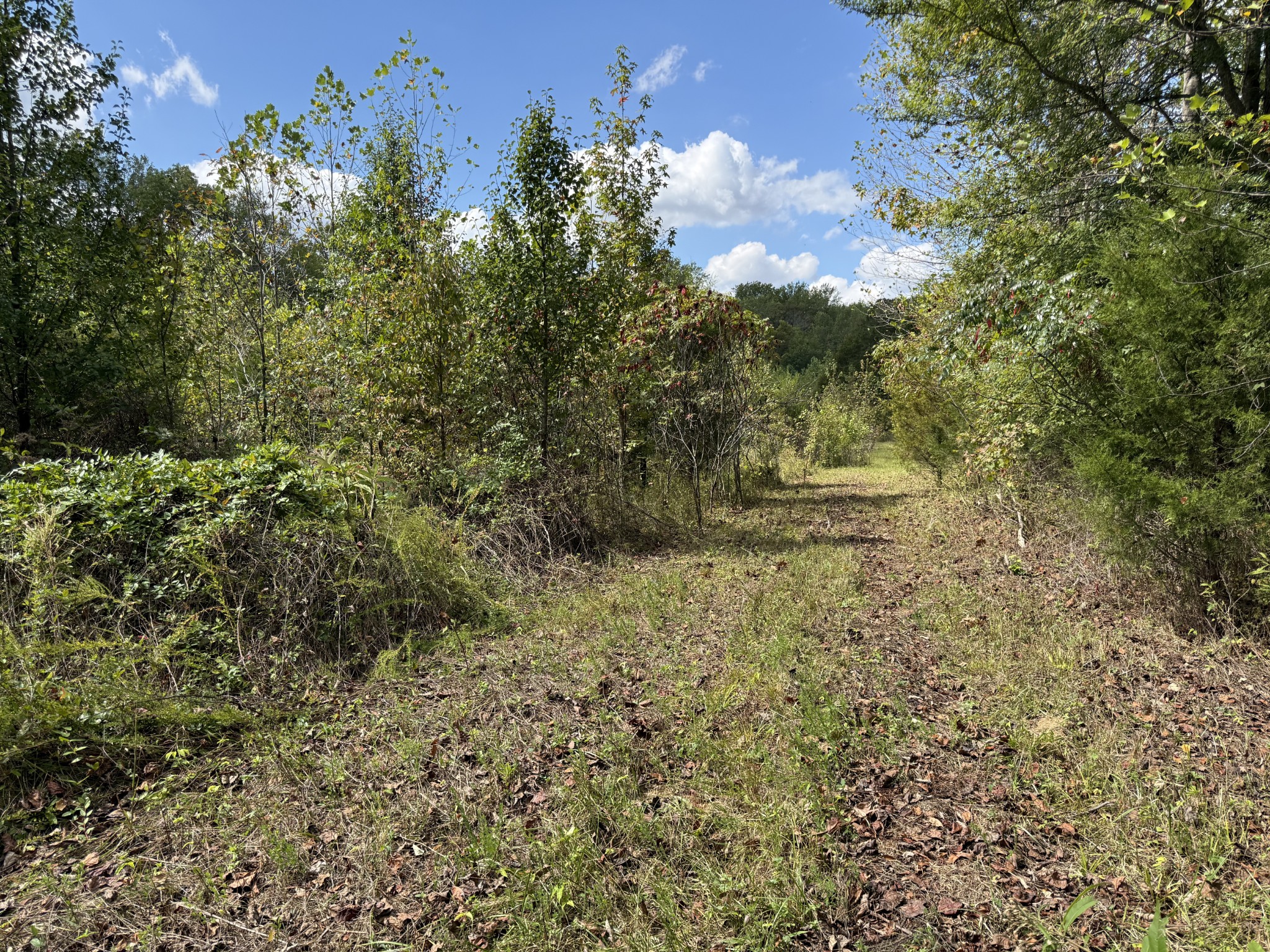 0 Fairfield Road Bethpage, TN 37022 - Photo 2 of 11