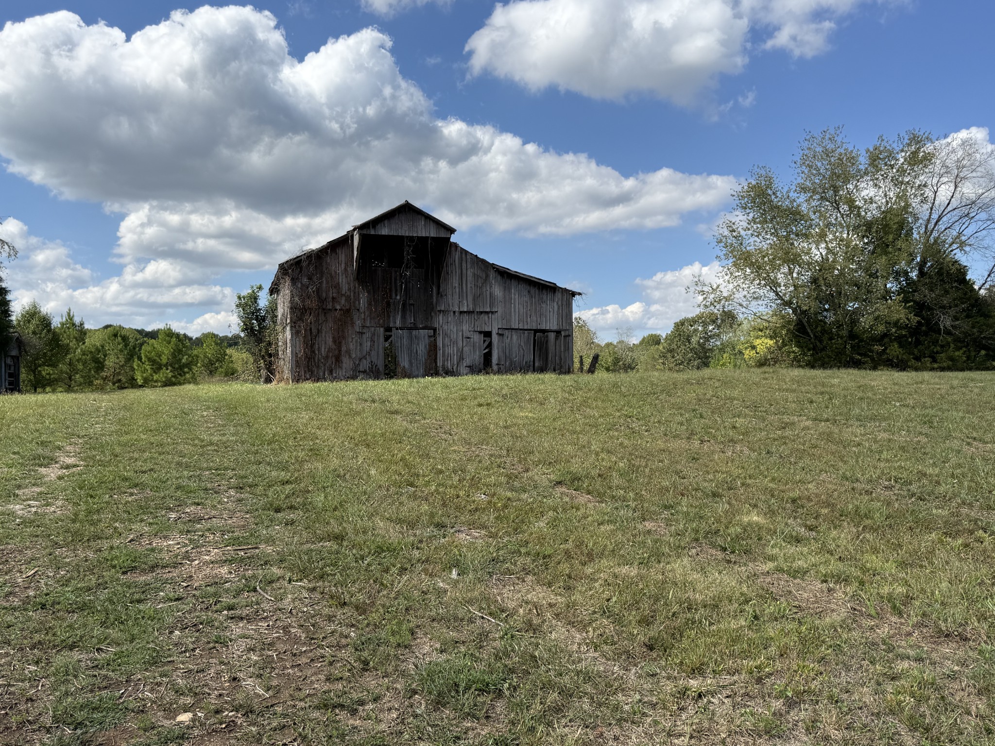 0 Fairfield Road Bethpage, TN 37022 - Photo 4 of 11