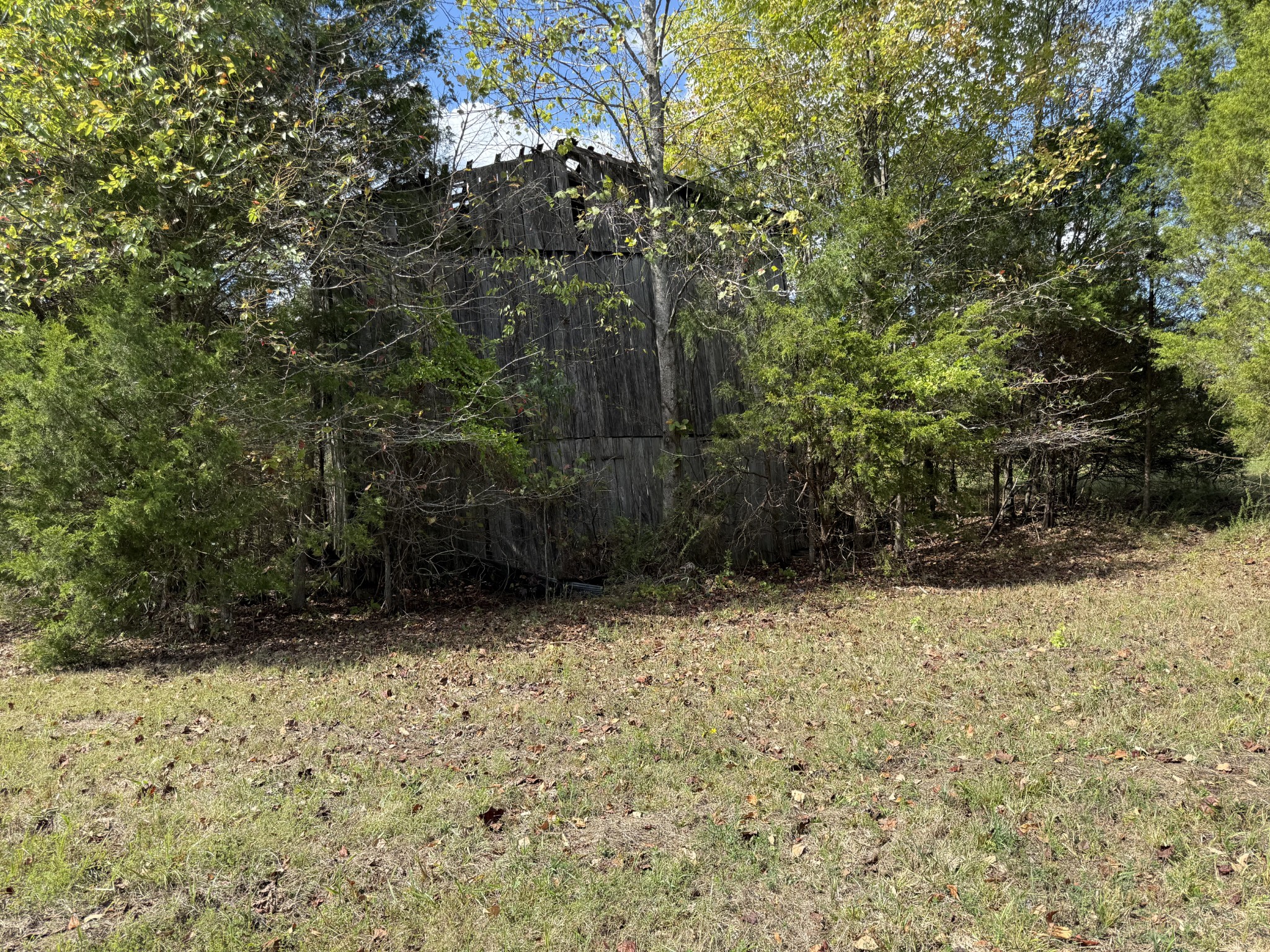 0 Fairfield Road Bethpage, TN 37022 - Photo 5 of 11