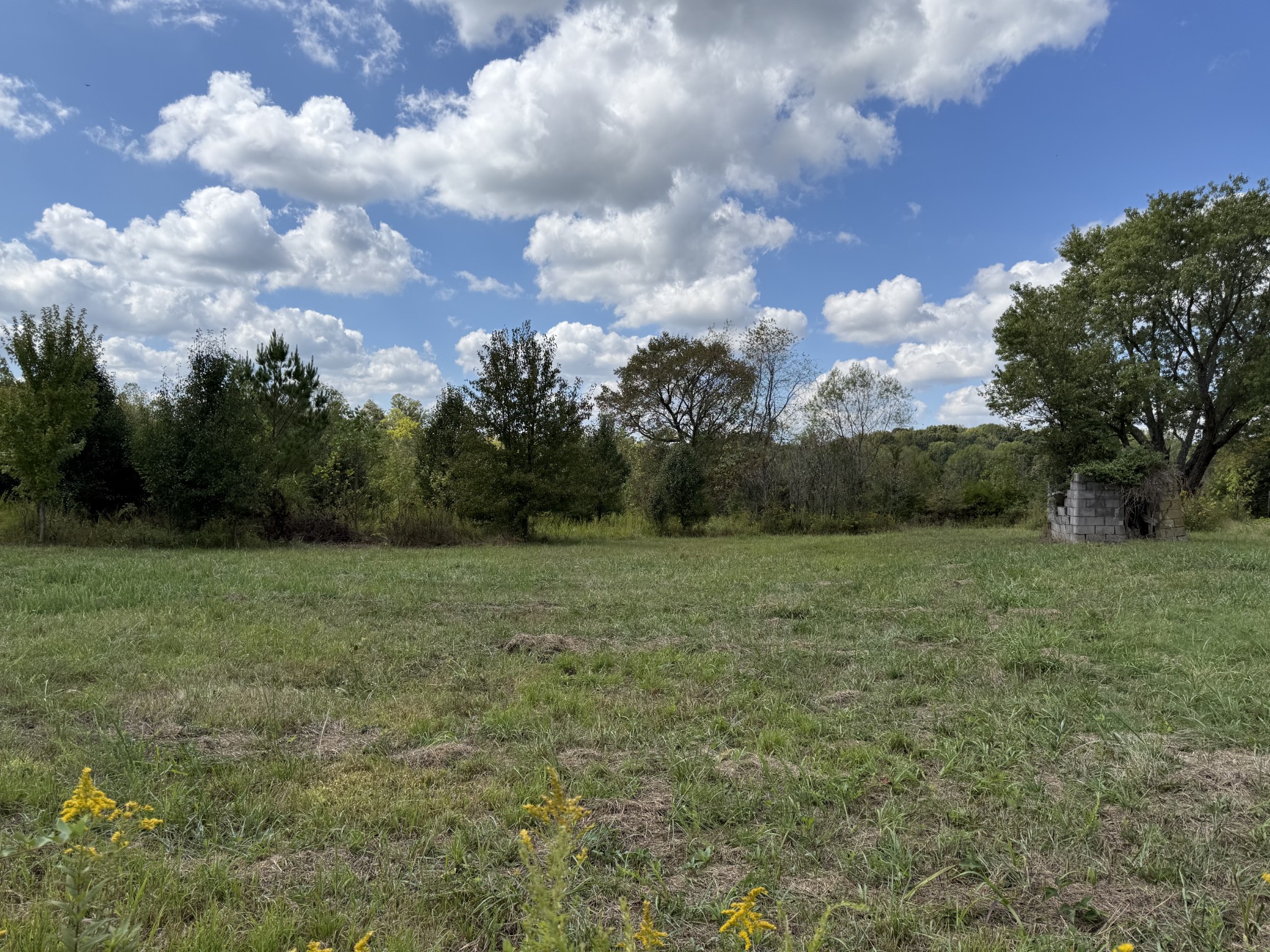 0 Fairfield Road Bethpage, TN 37022 - Photo 7 of 11