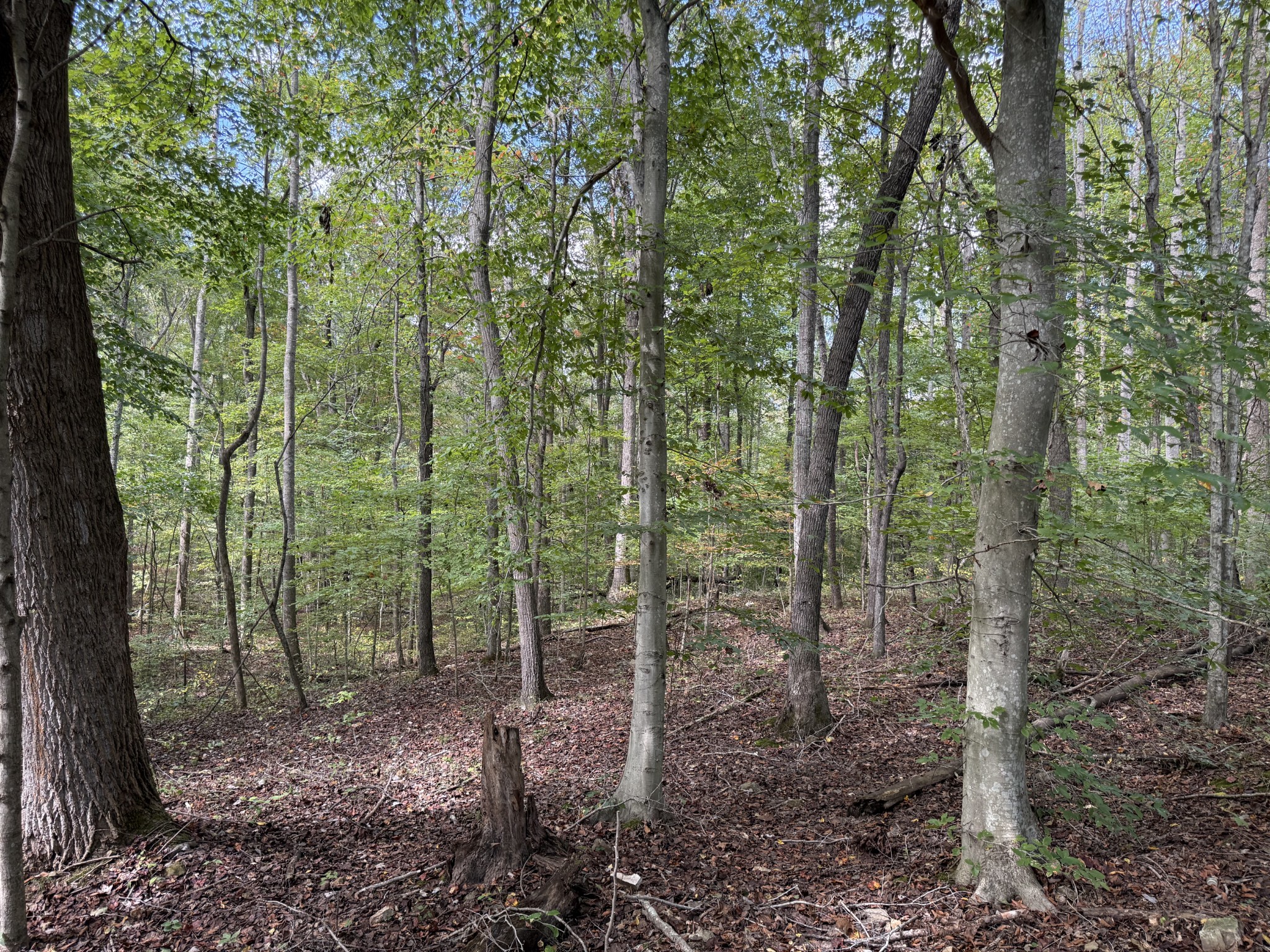 0 Fairfield Road Bethpage, TN 37022 - Photo 9 of 11