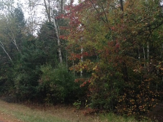 East Rathbun Birch Run, MI 48415 - Photo 1 of 2