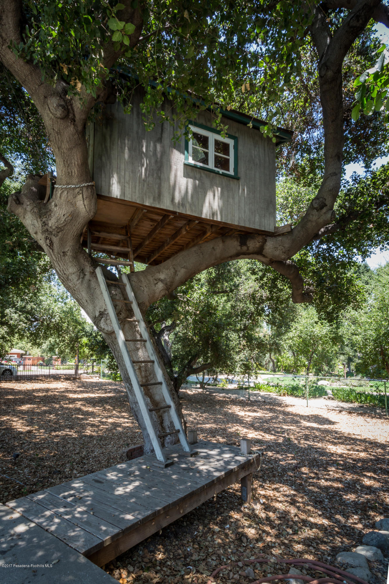3390 Lombardy Road Pasadena, CA 91107 - Photo 33 of 33 3390 Lombardy Rd-39