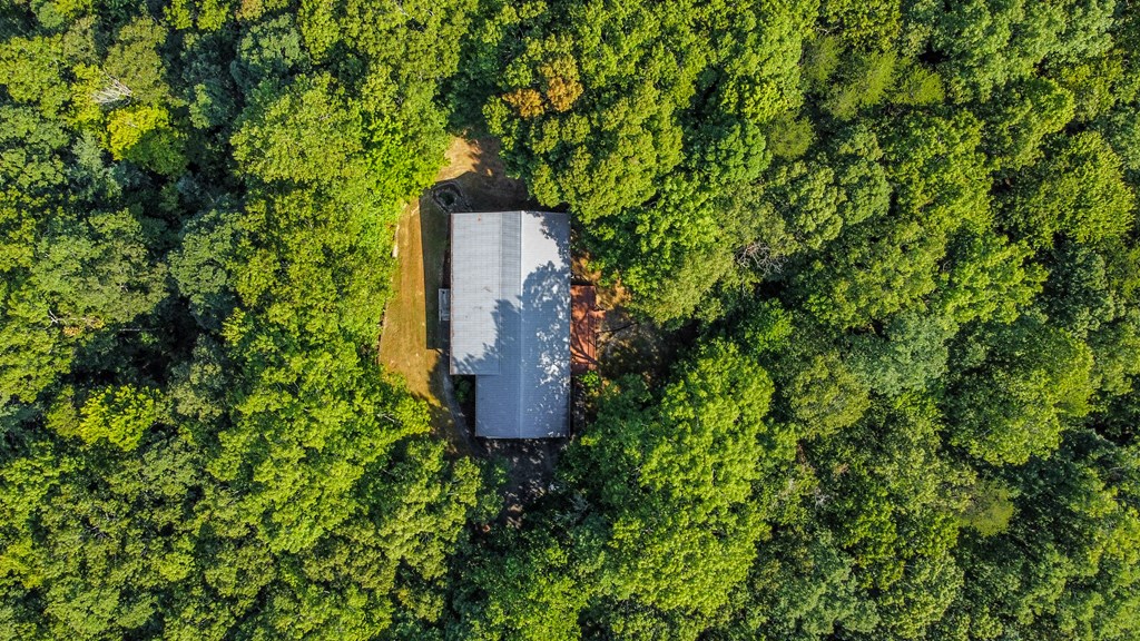 2578 Lucius Road Cherry Log, GA 30522 - Photo 43 of 55 Gallery Image 43