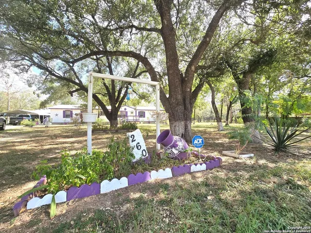 a view of a tree in front of a house