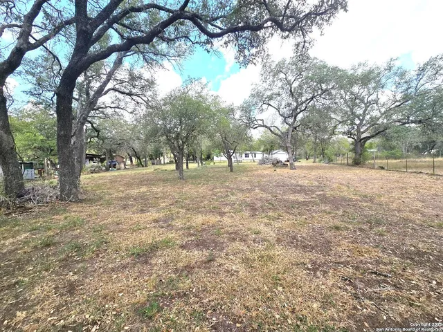 a view of dirt yard with a large tree