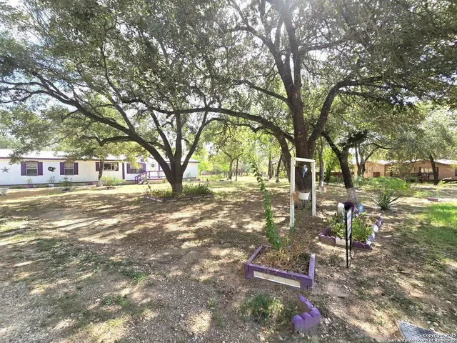 a view of yard with tree