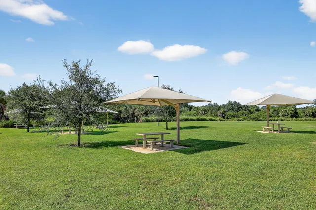 a view of a park with large trees
