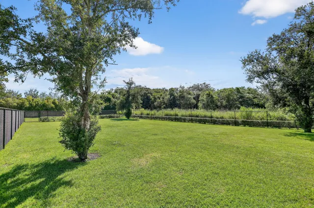 a view of field with large trees