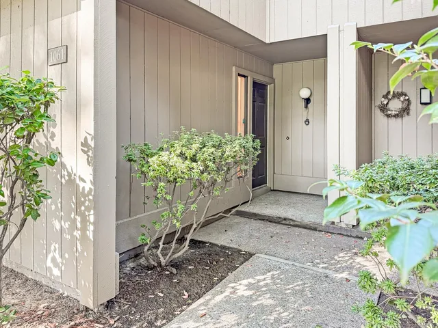 a view of small garden with potted plants