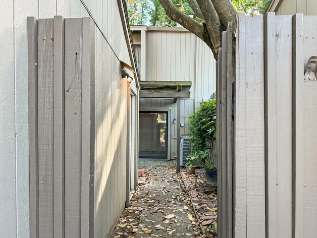 a backyard with plants