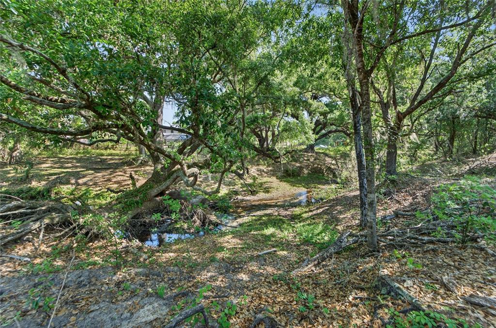 Carlton Road Dover, FL 33527 - Photo 45 of 63 a backyard of a house with lots of green space