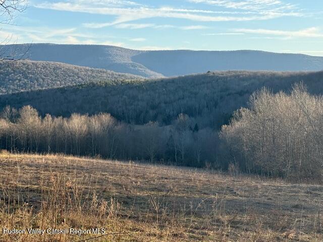 Tbd Hogg Mountain Road Fleischmanns, NY 12430 - Photo 5 of 22 #5