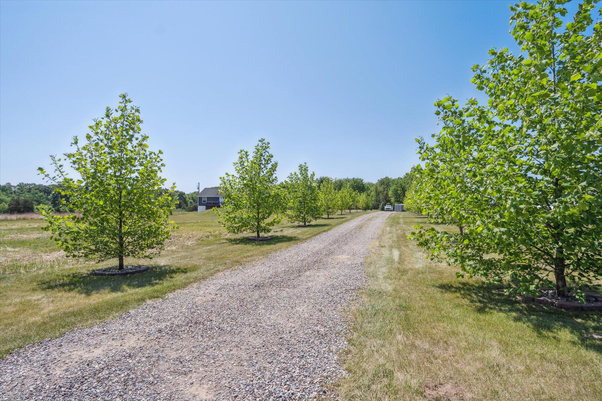 9715 Humphrey Road Reading, MI 49274 - Photo 51 of 51 51-9715-Humphrey-Rd-Reading-MI-49274-Win