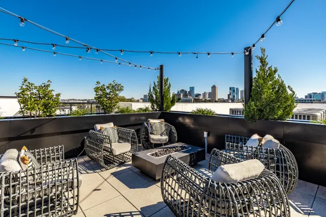 a view of a patio with chairs and a potted plant
