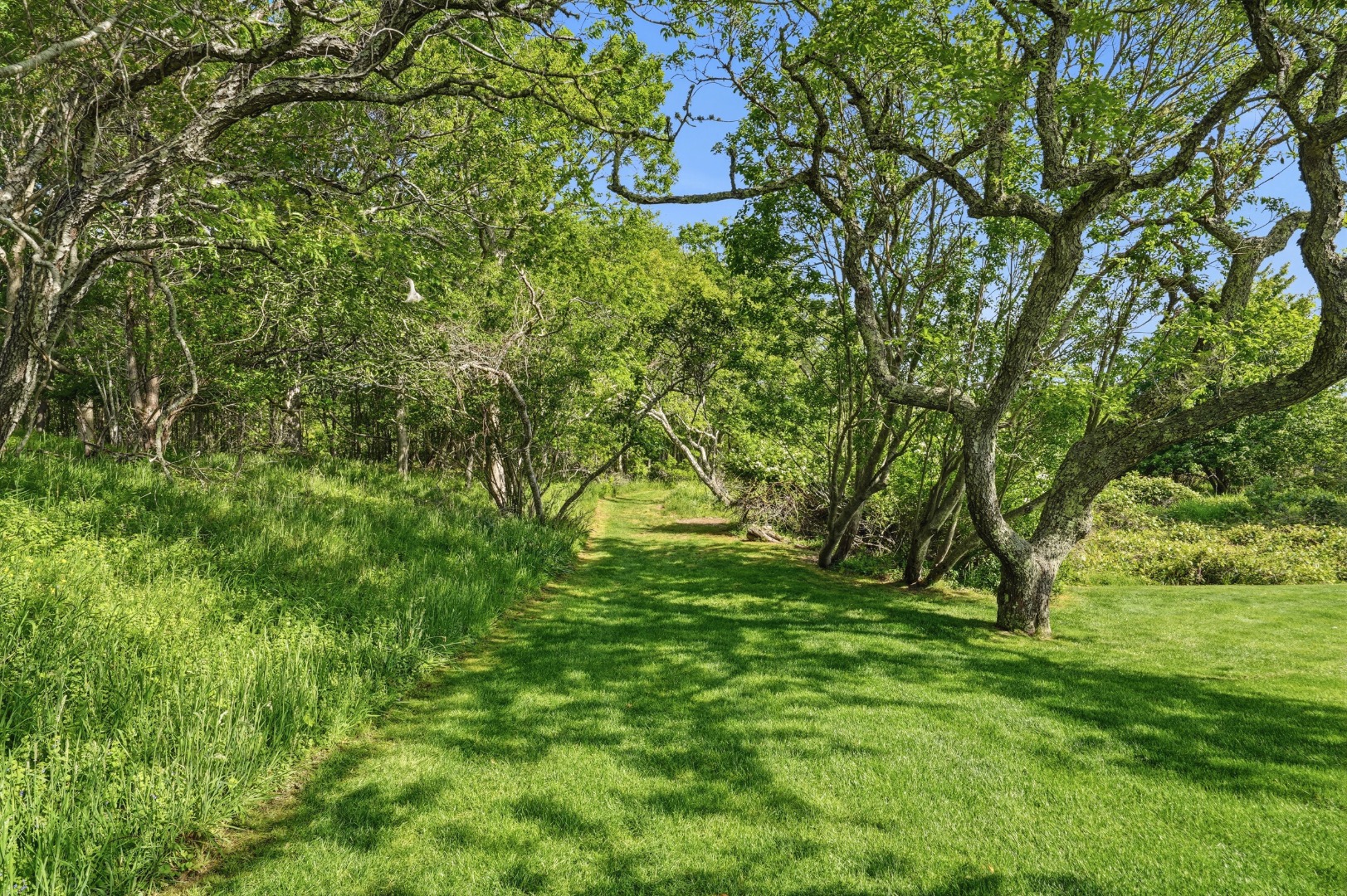 268 Polpis Road Nantucket, MA 02554 - Photo 5 of 48