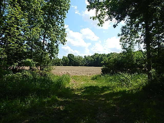 2512 19 Mile Road Tekonsha, MI 49092 - Photo 1 of 30 View
