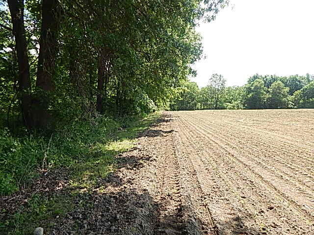 2512 19 Mile Road Tekonsha, MI 49092 - Photo 11 of 30 DSCN9930