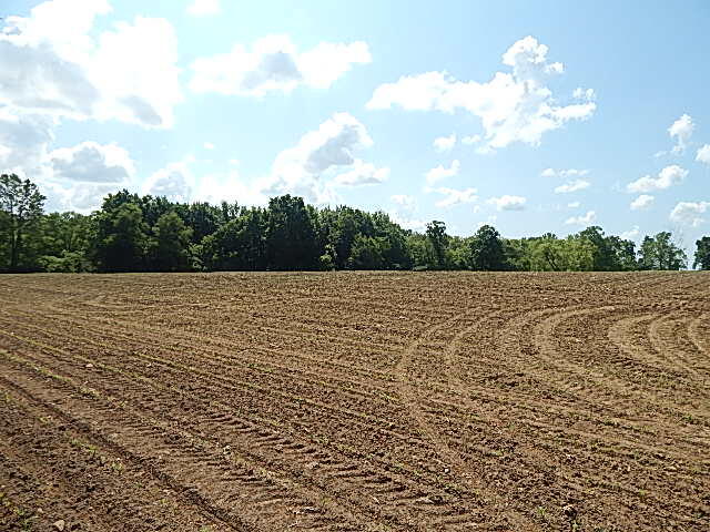 2512 19 Mile Road Tekonsha, MI 49092 - Photo 12 of 30 DSCN9931