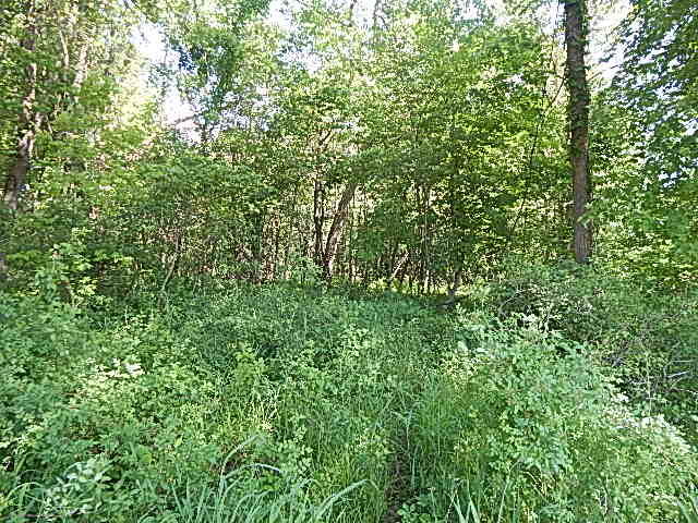 2512 19 Mile Road Tekonsha, MI 49092 - Photo 13 of 30 DSCN9932