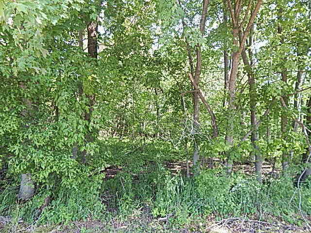 2512 19 Mile Road Tekonsha, MI 49092 - Photo 14 of 30 DSCN9933