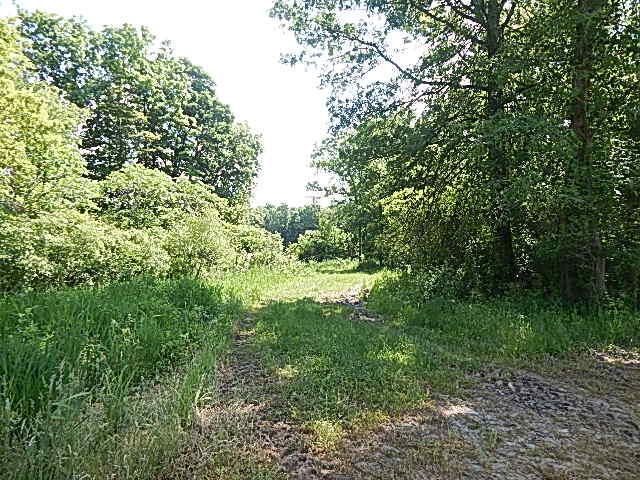 2512 19 Mile Road Tekonsha, MI 49092 - Photo 16 of 30 DSCN9935