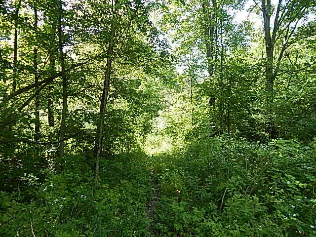 2512 19 Mile Road Tekonsha, MI 49092 - Photo 18 of 30 DSCN9937
