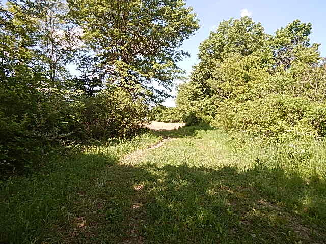 2512 19 Mile Road Tekonsha, MI 49092 - Photo 19 of 30 DSCN9938
