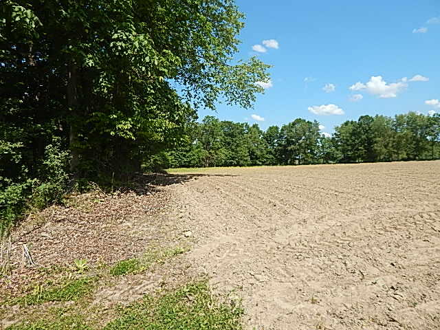 2512 19 Mile Road Tekonsha, MI 49092 - Photo 20 of 30 DSCN9939