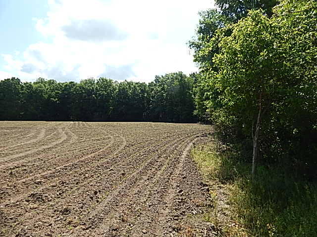 2512 19 Mile Road Tekonsha, MI 49092 - Photo 21 of 30 DSCN9940