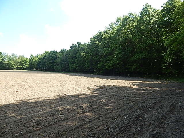 2512 19 Mile Road Tekonsha, MI 49092 - Photo 23 of 30 DSCN9942