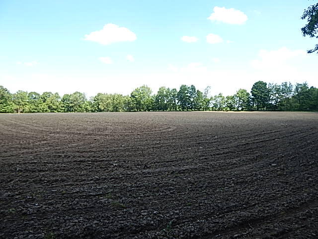 2512 19 Mile Road Tekonsha, MI 49092 - Photo 25 of 30 DSCN9944