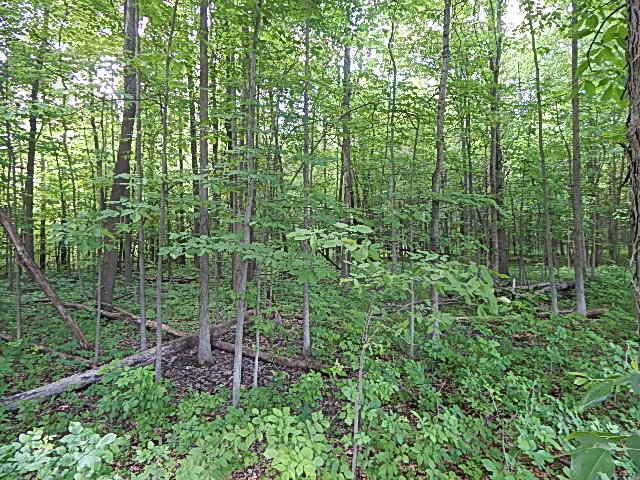 2512 19 Mile Road Tekonsha, MI 49092 - Photo 28 of 30 DSCN9947