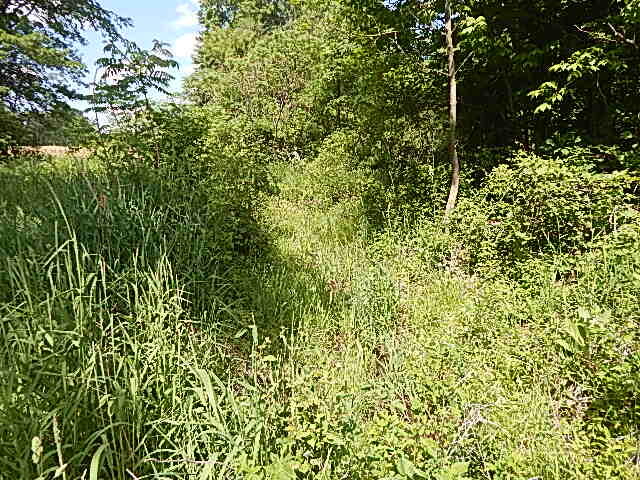 2512 19 Mile Road Tekonsha, MI 49092 - Photo 29 of 30 DSCN9948