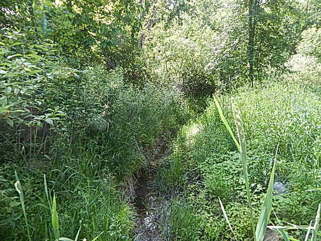 2512 19 Mile Road Tekonsha, MI 49092 - Photo 30 of 30 DSCN9949