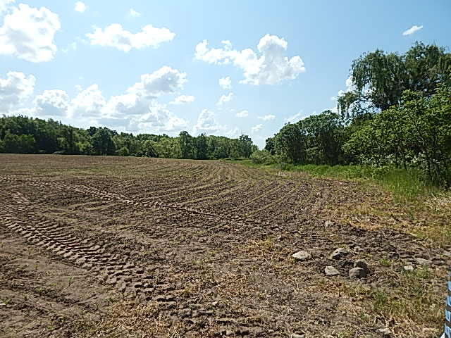 2512 19 Mile Road Tekonsha, MI 49092 - Photo 9 of 30 DSCN9928