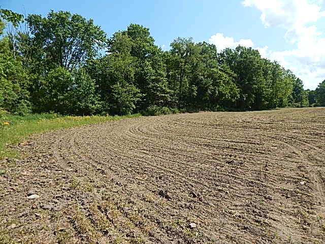 2512 19 Mile Road Tekonsha, MI 49092 - Photo 10 of 30 DSCN9929