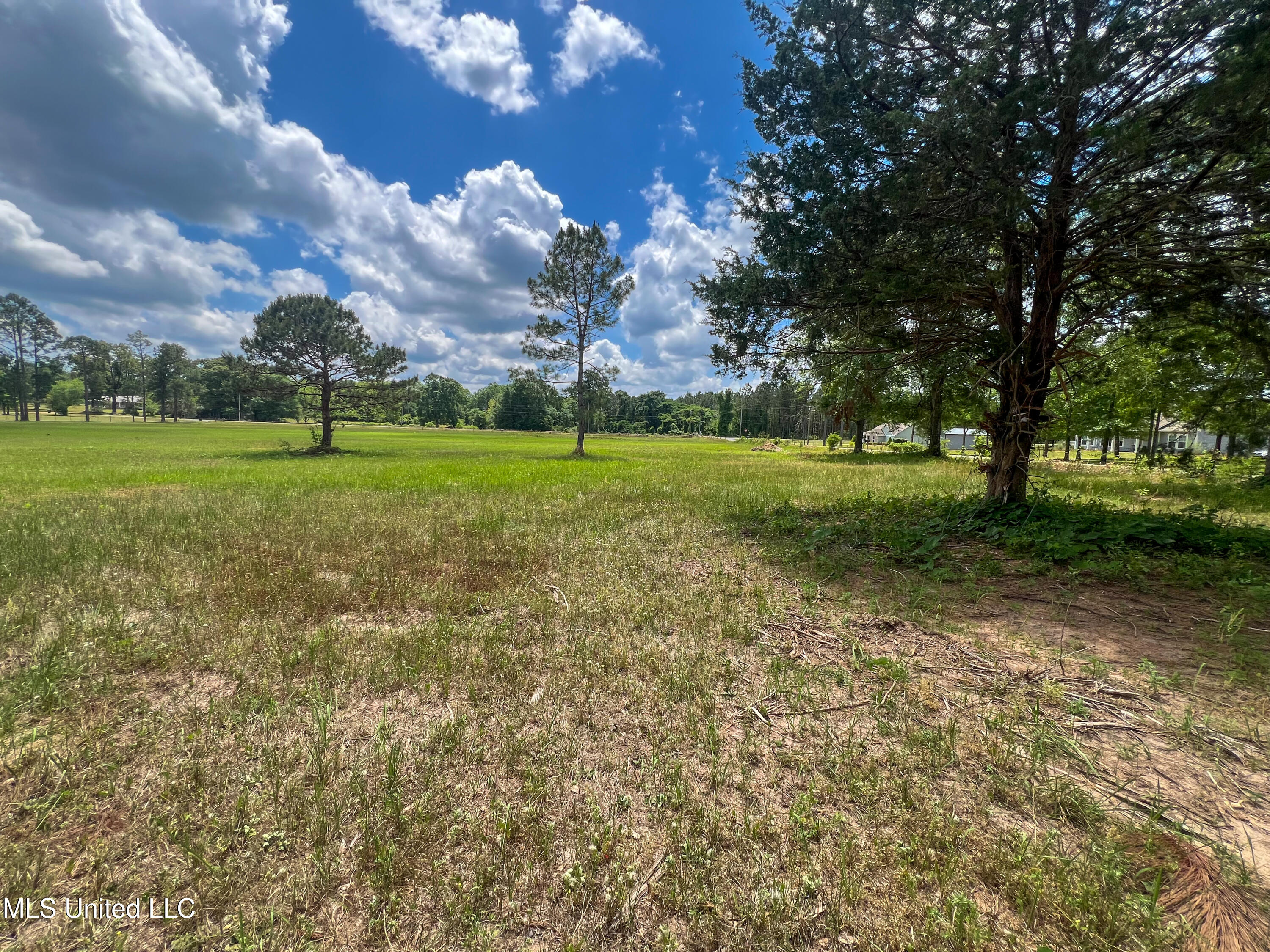 2-ac Albert Davis Road Lucedale, MS 39452 - Photo 1 of 8 IMG_2402