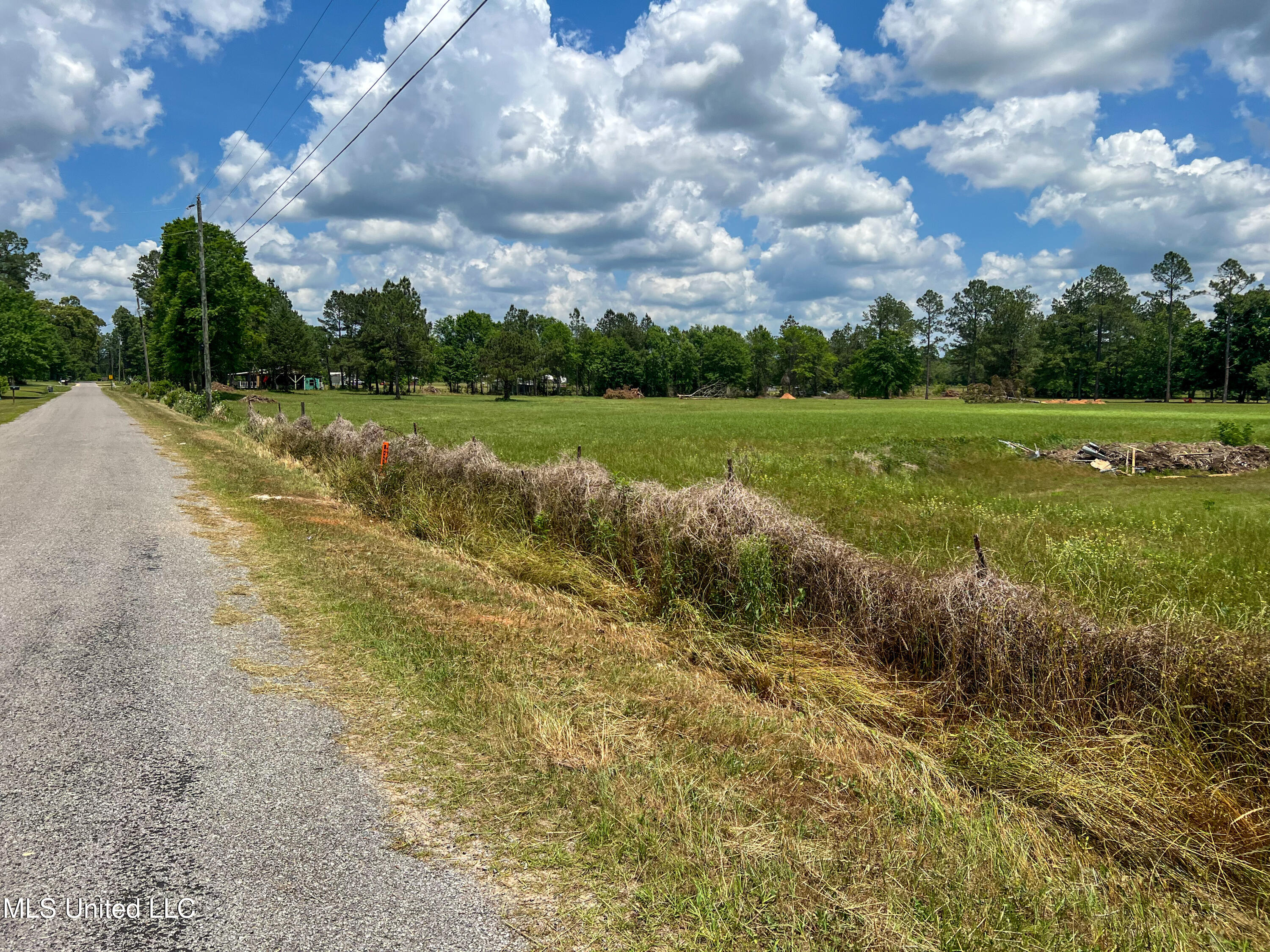 2-ac Albert Davis Road Lucedale, MS 39452 - Photo 6 of 8 IMG_2409