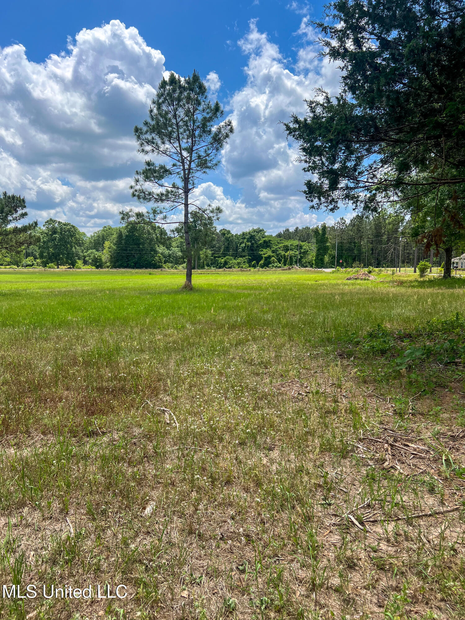 2-ac Albert Davis Road Lucedale, MS 39452 - Photo 7 of 8 IMG_2400
