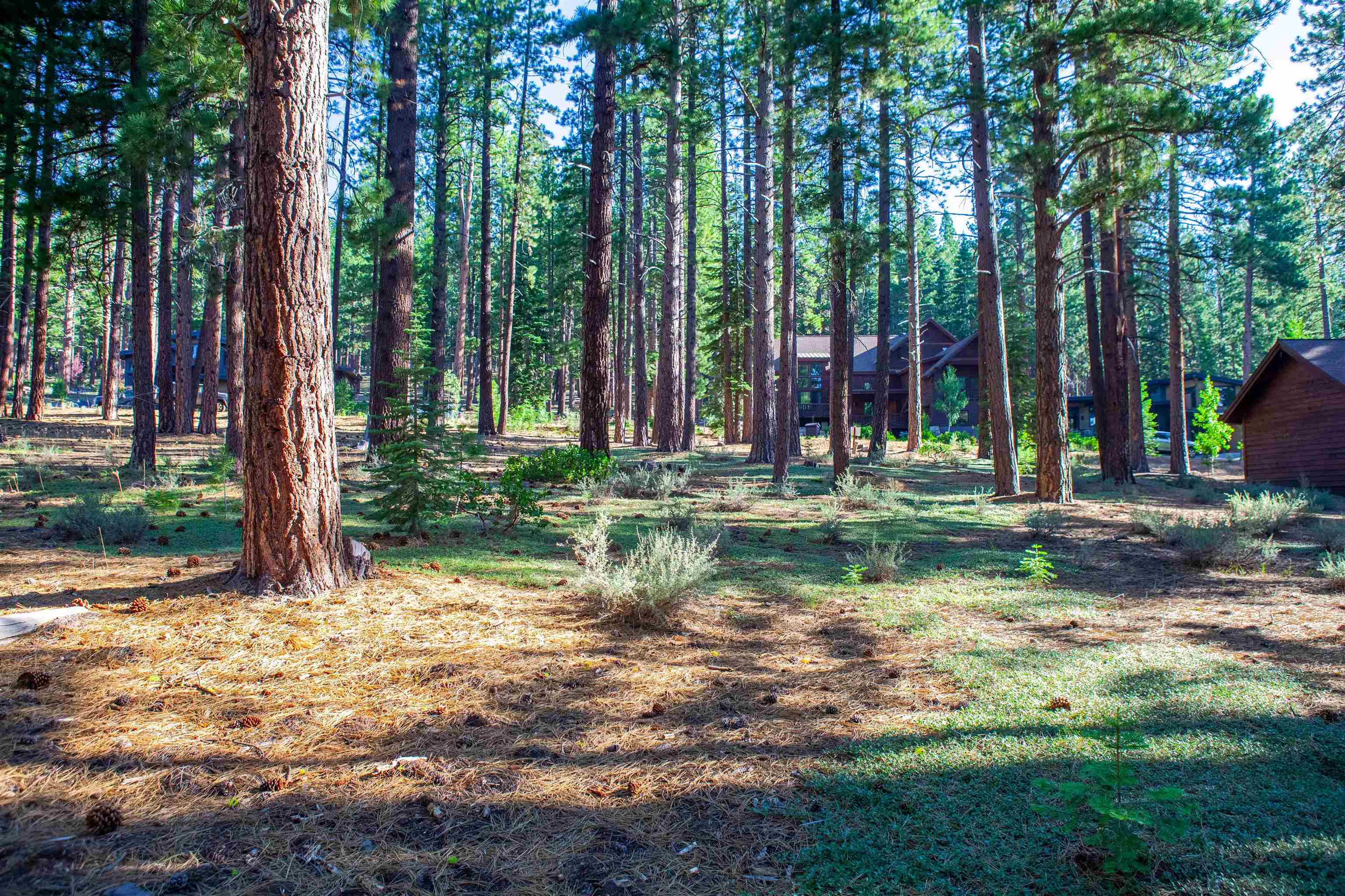 11561 Bottcher Loop Truckee, CA 96161 - Photo 16 of 21 a backyard of a house with lots of green space and fountain