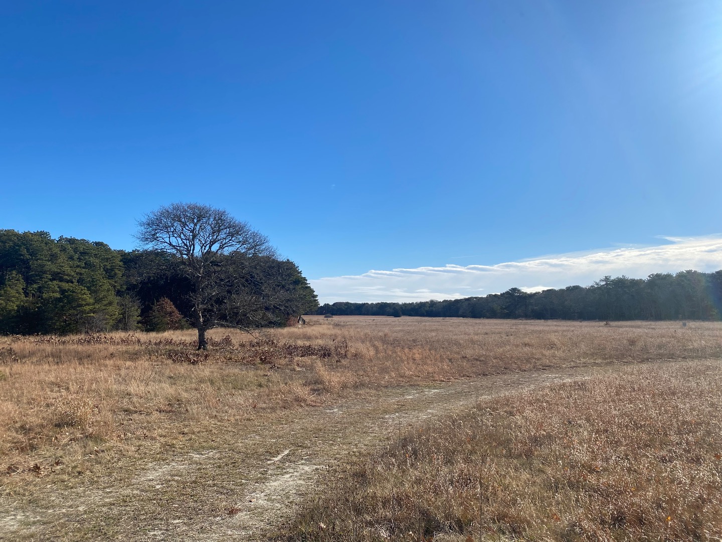 101 Tradewinds Road Oak Bluffs, MA 02557 - Photo 19 of 59 a view of a lake and mountain